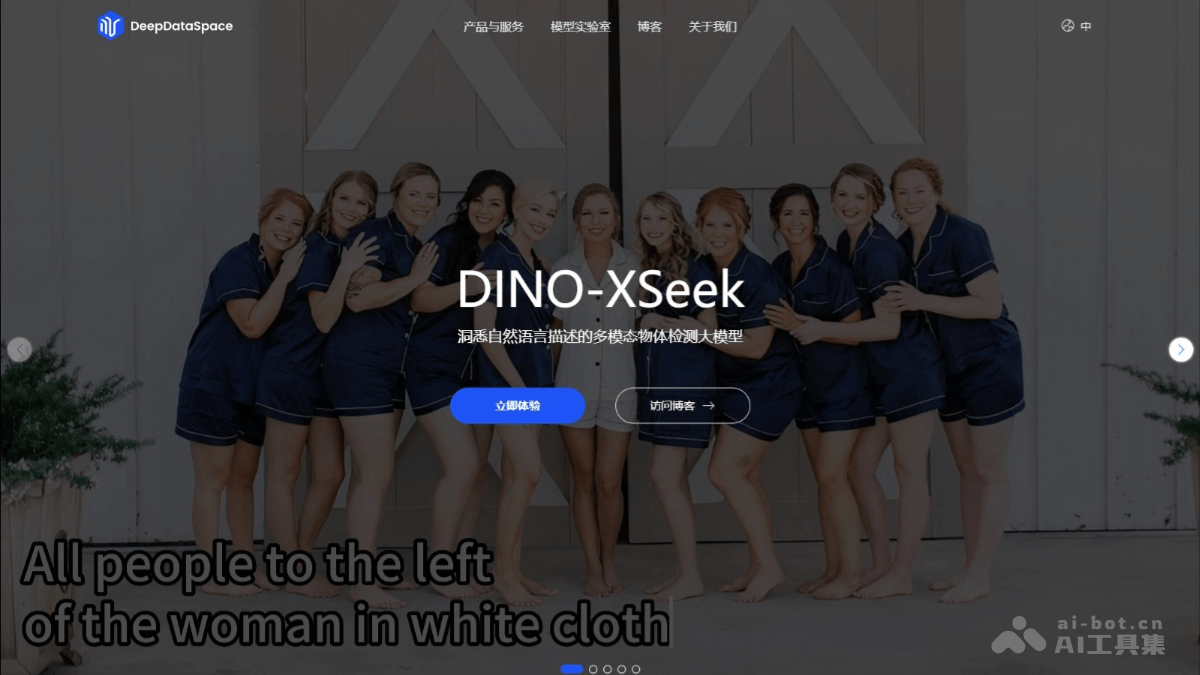 DINO-XSeek – IDEA 研究院推出的多模态目标检测模型插图