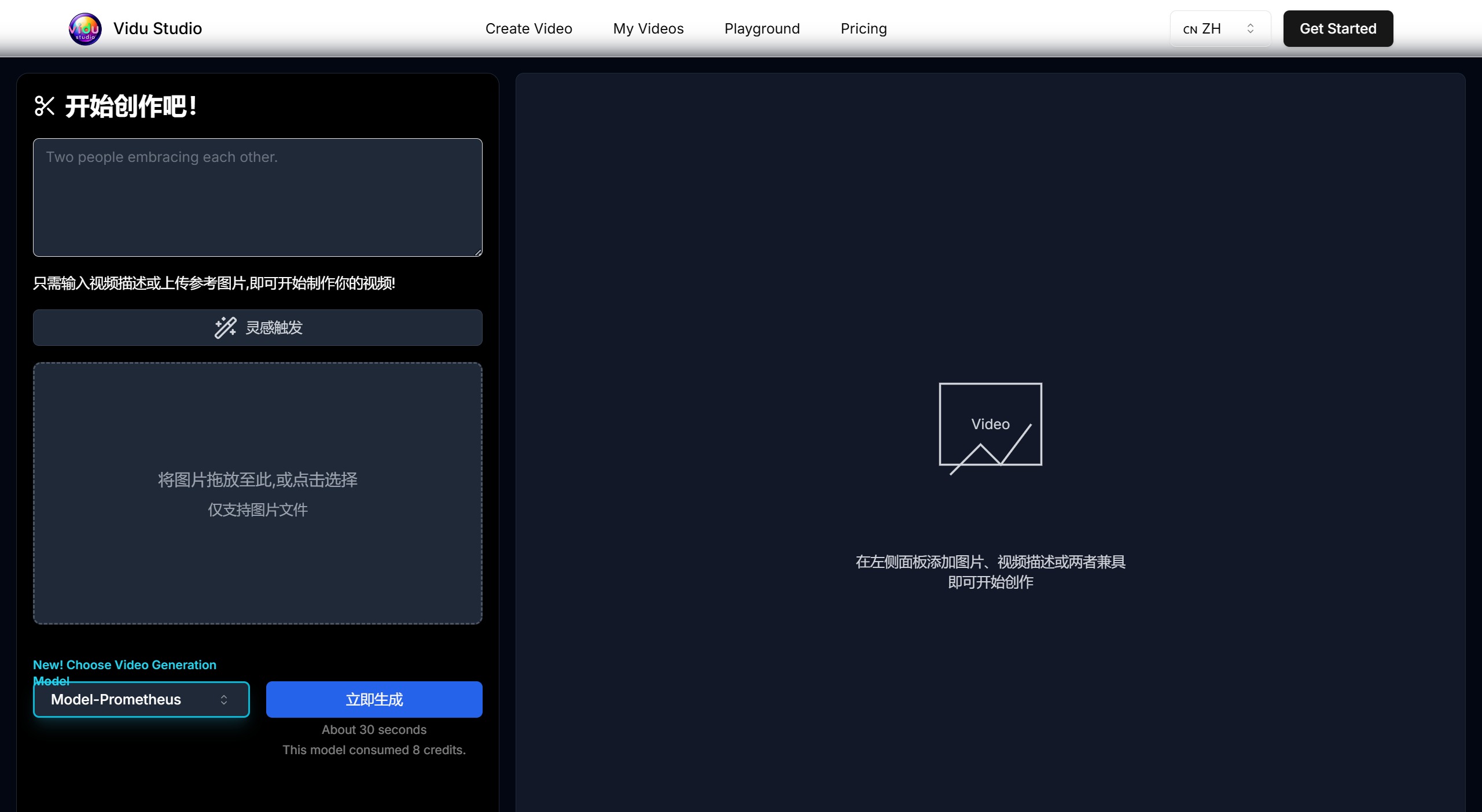 Vidu Studio插图1