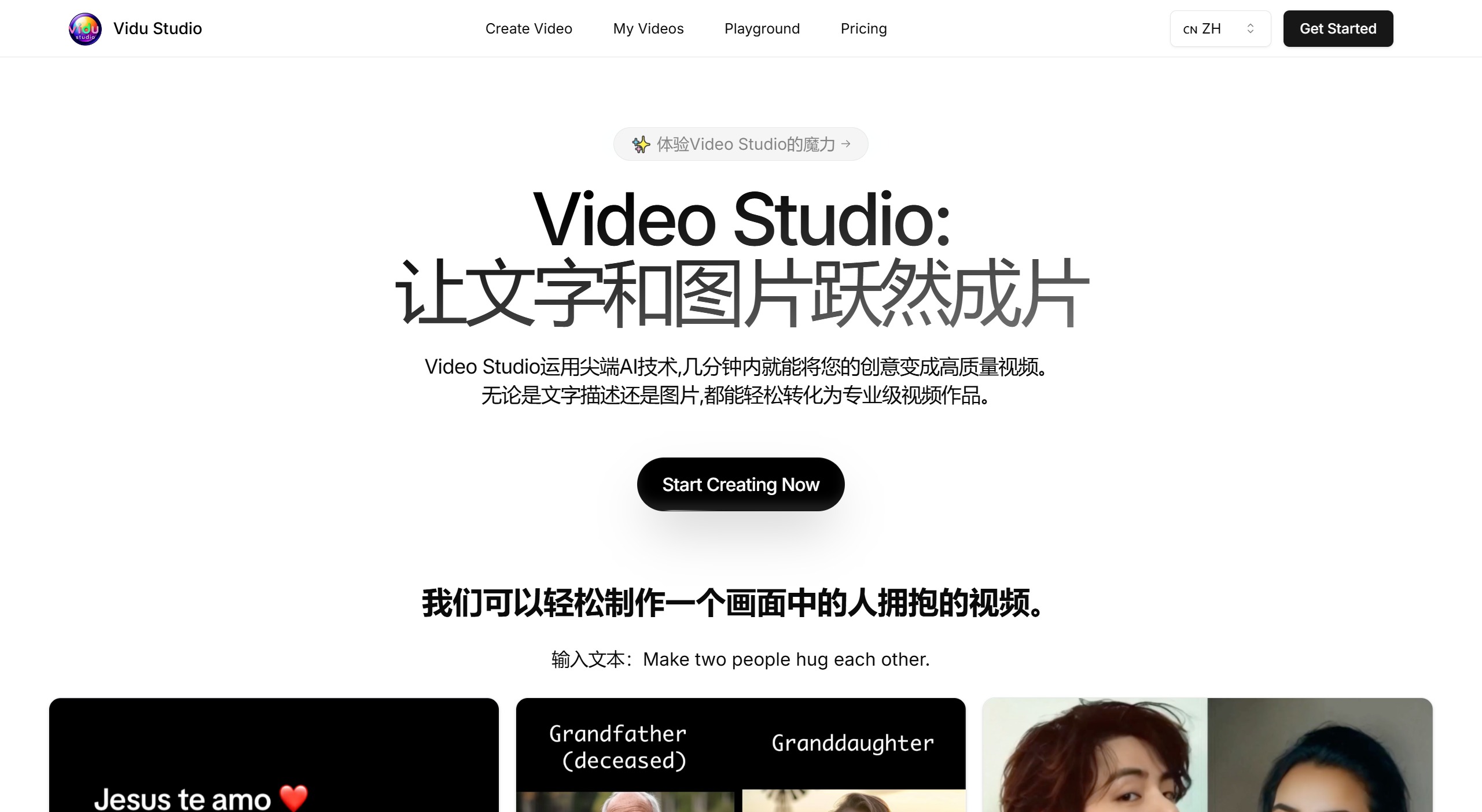 Vidu Studio插图
