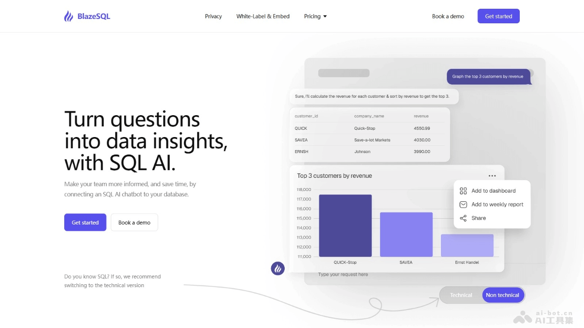 BlazeSQL – AI数据分析工具，将自然语言问题转化为SQL查询插图