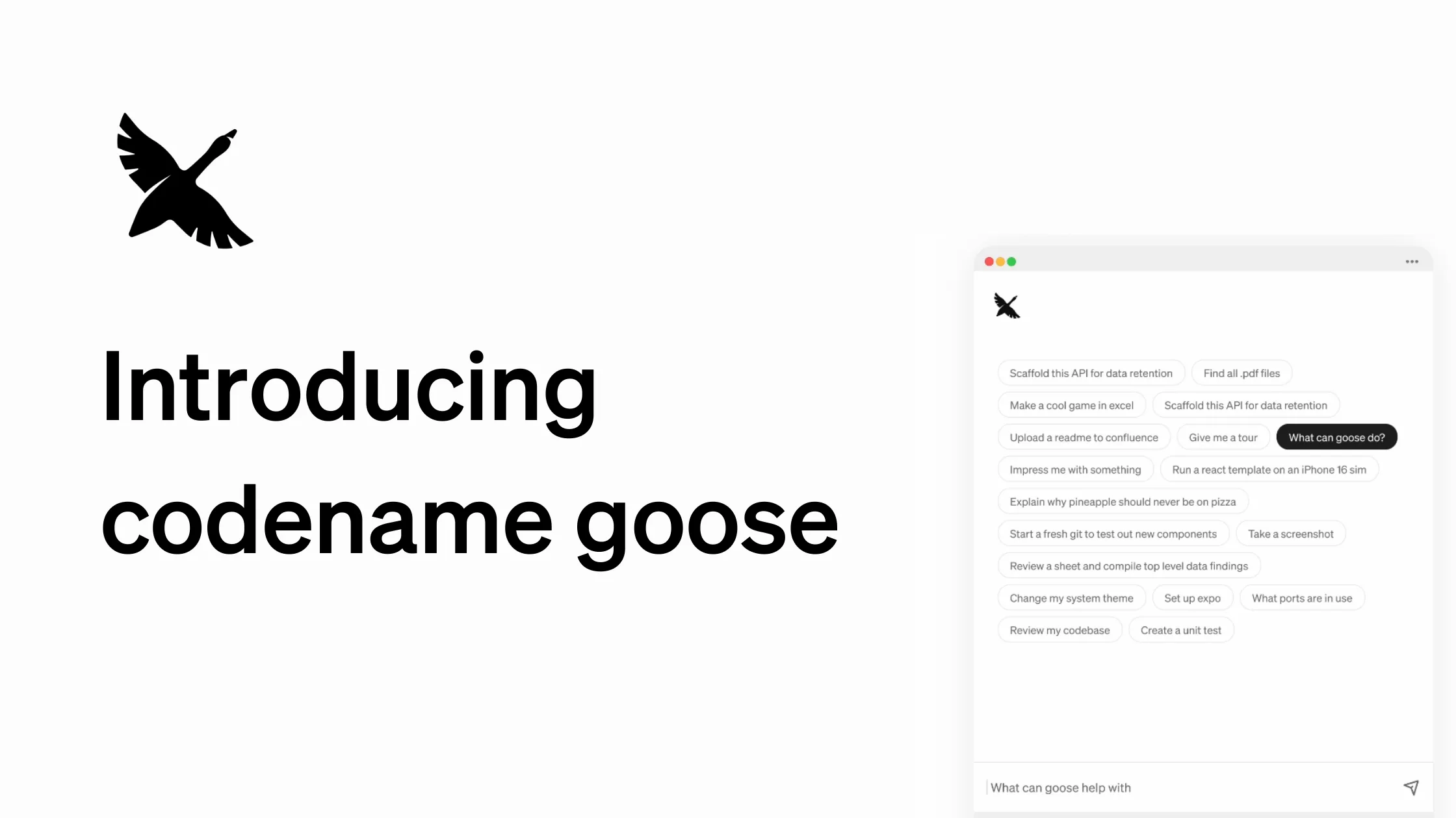CodeName Goose插图