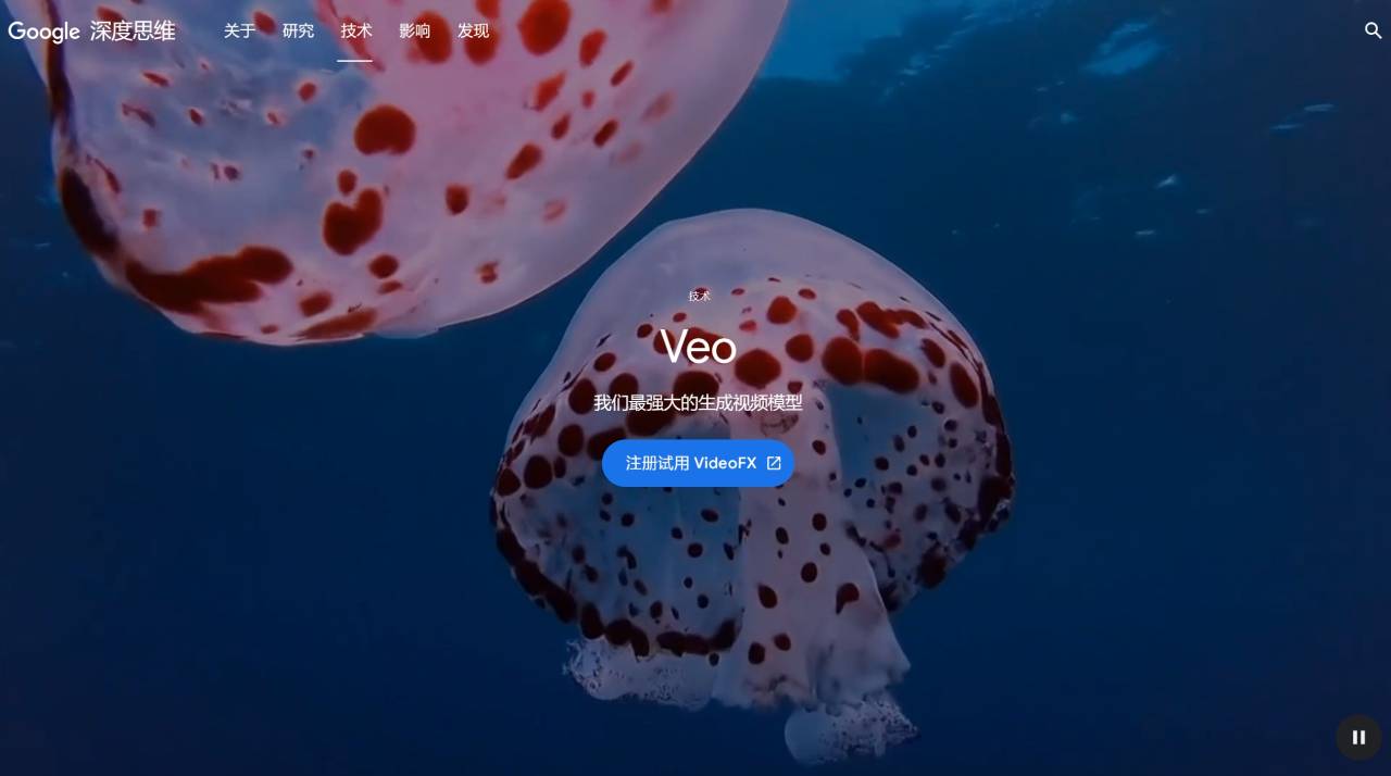 Google Veo插图