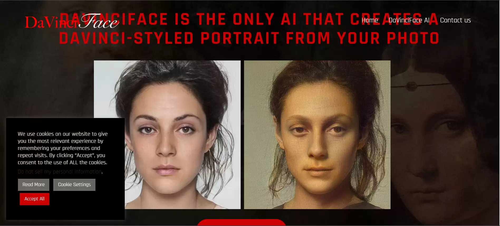 DaVinciFace插图