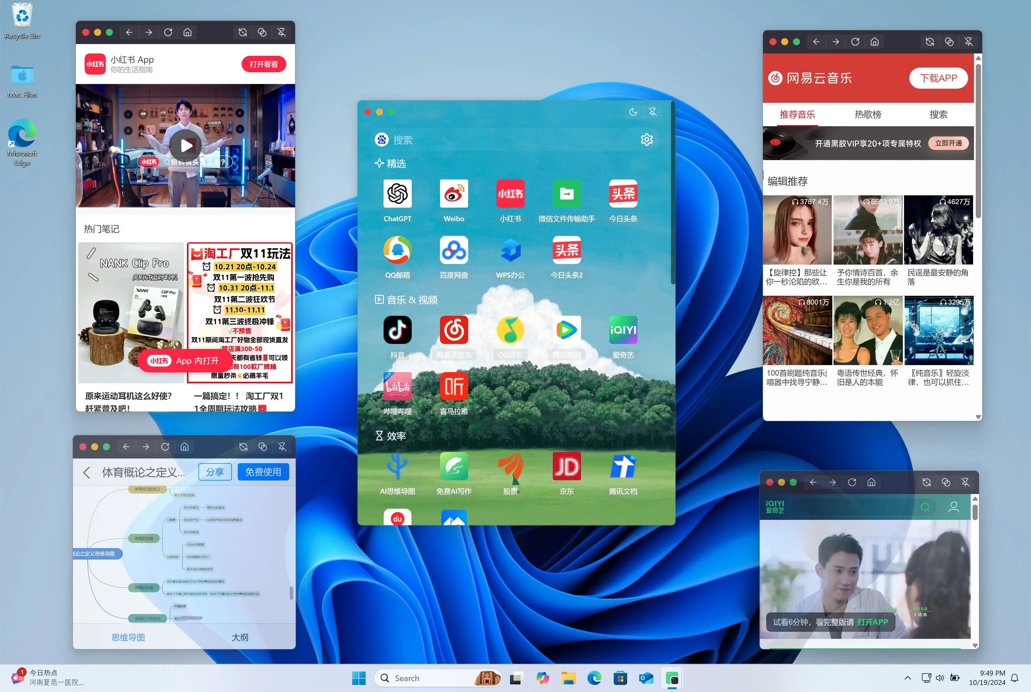 Floweb浏览器插图
