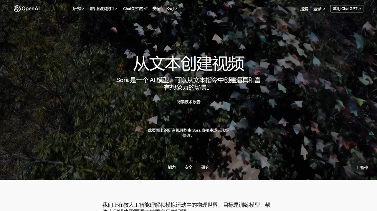 Sora插图1