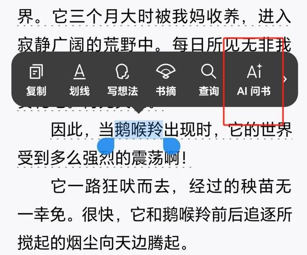 微信AI问书插图