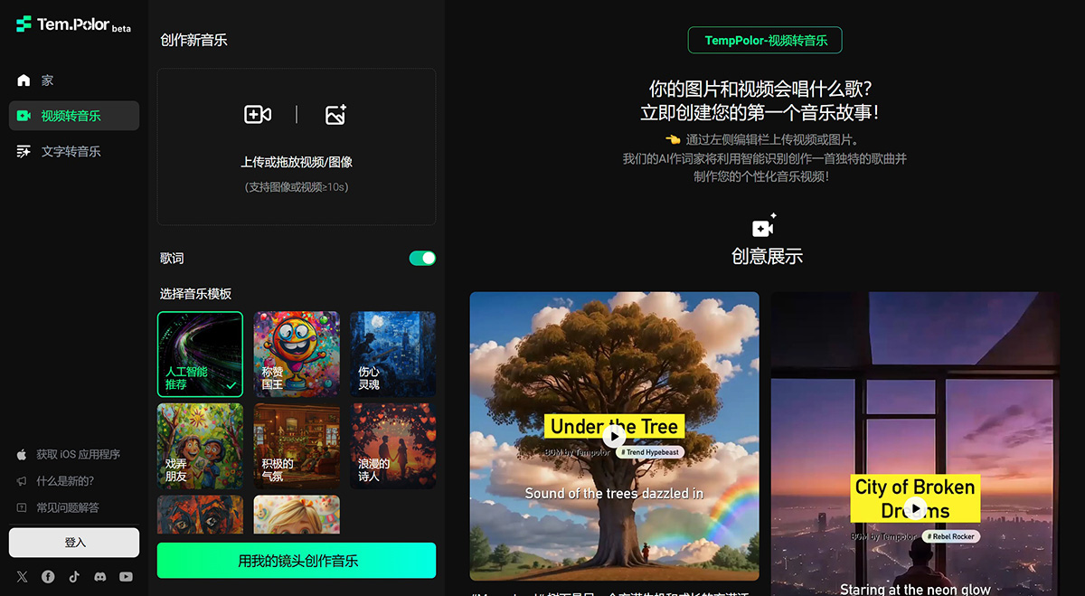 TemPolor插图1