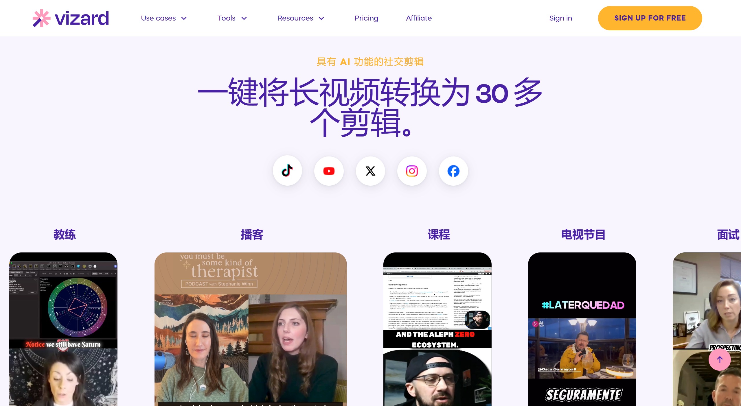 Vizard AI插图1